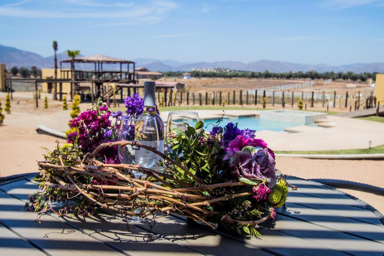 Cuatro Lunas Hotel Boutique Valle de Guadalupe Kültér fotó