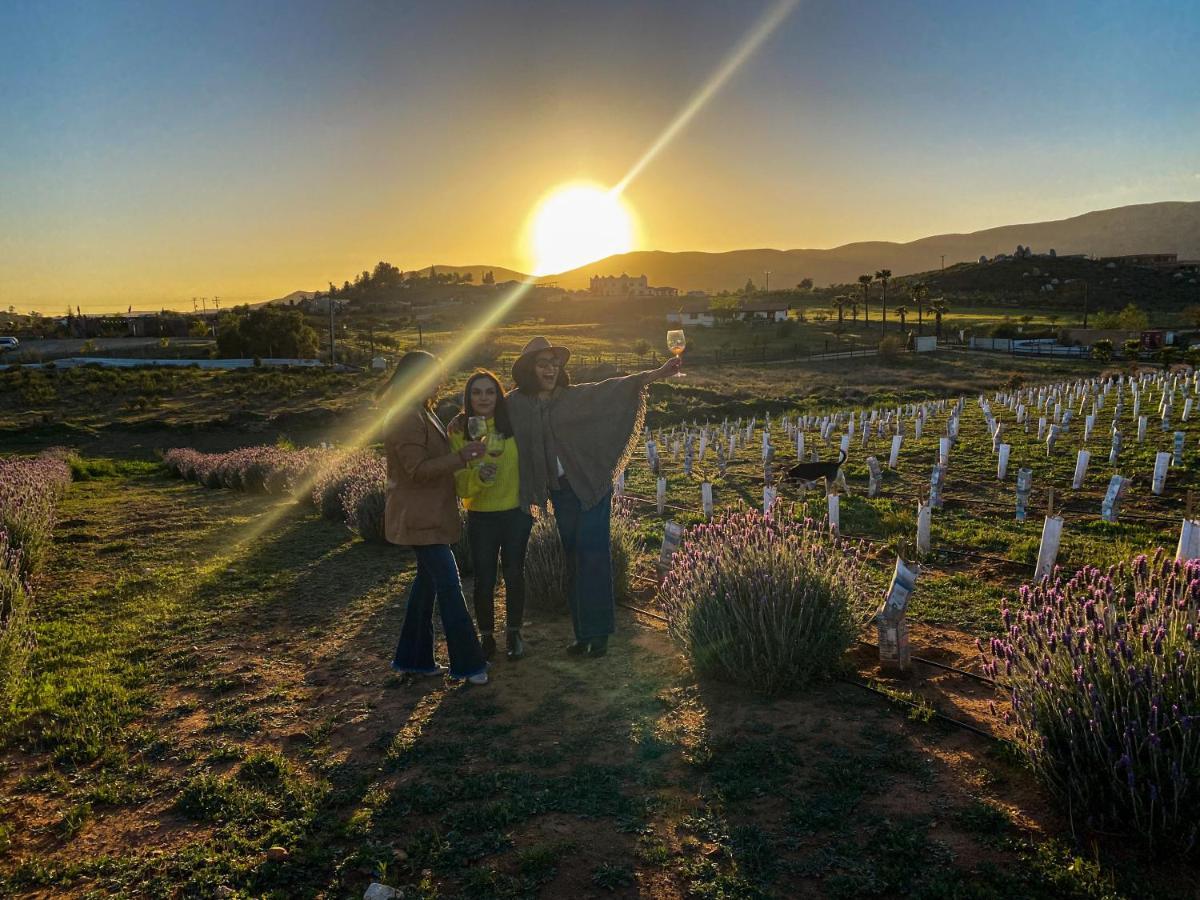 Cuatro Lunas Hotel Boutique Valle de Guadalupe Kültér fotó