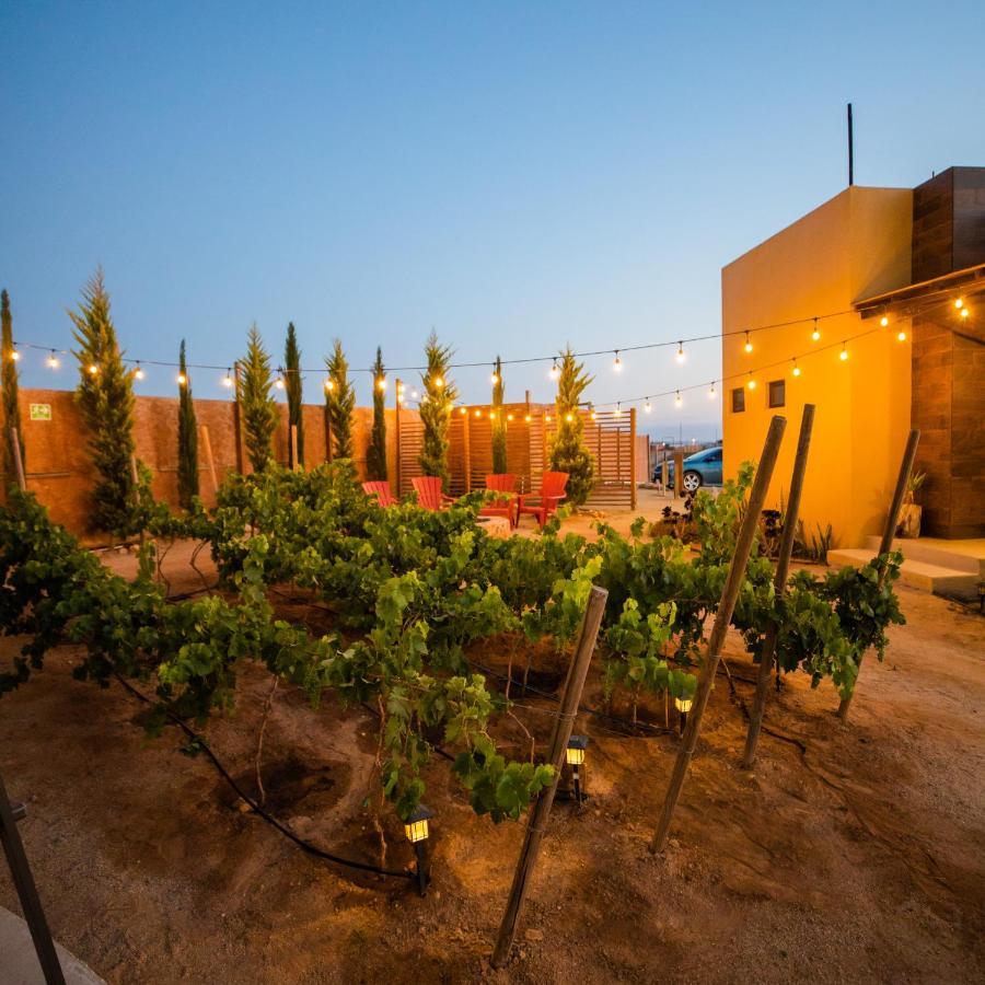 Cuatro Lunas Hotel Boutique Valle de Guadalupe Kültér fotó