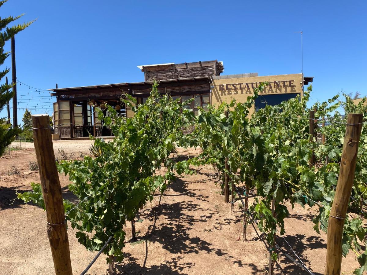 Cuatro Lunas Hotel Boutique Valle de Guadalupe Kültér fotó